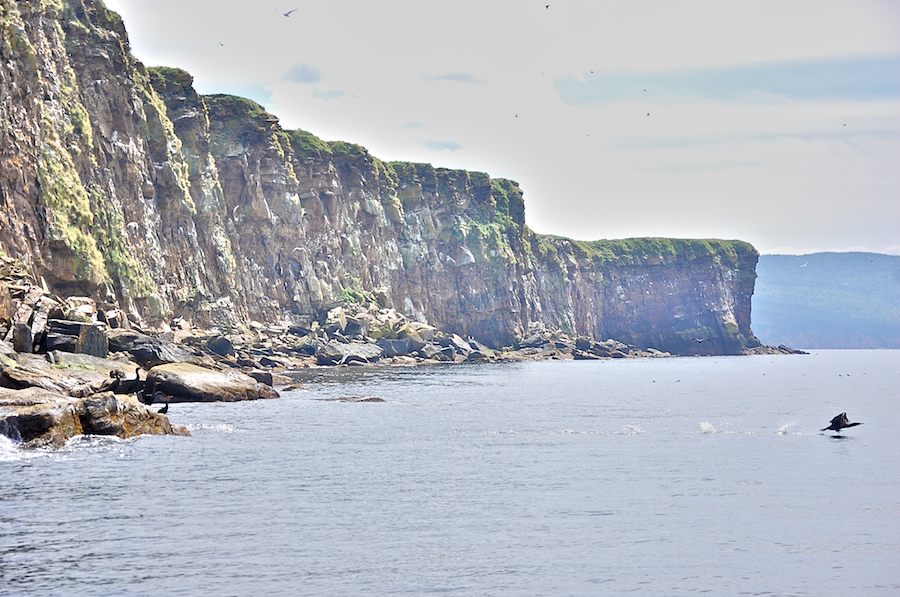 Western shores of the southeastern end of Hertford Island