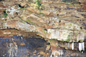 Puffins nesting in a cliff on Ciboux Island