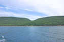 Little Grappling Beach from the west