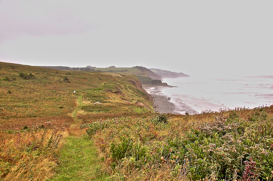 Colindale Shore from the Western Coastal Trail