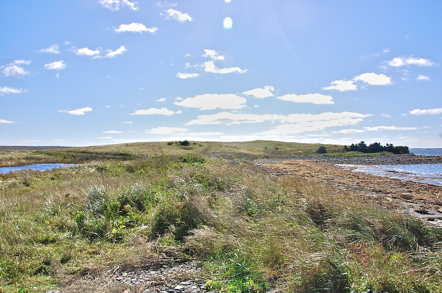 Dunes at Ponds Cove