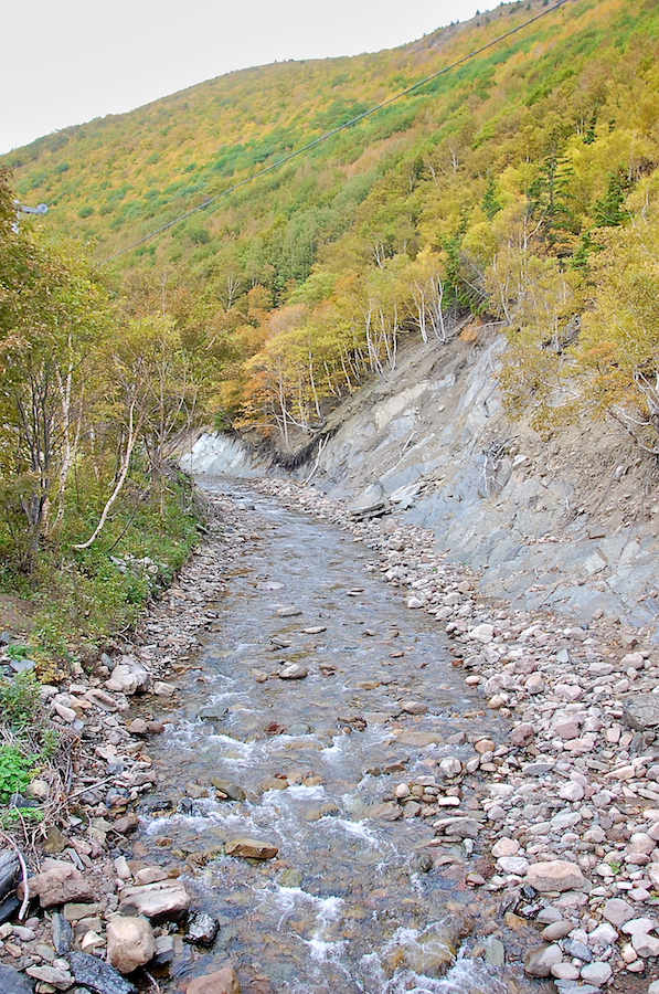 Looking up Meat Cove Brook at the Meat Cove Bridge
