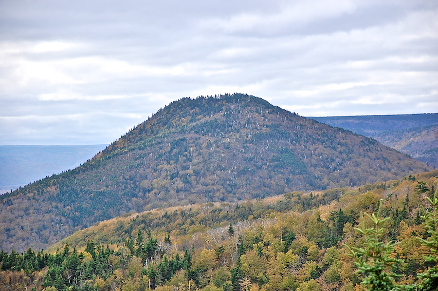 Wilkie Sugar Loaf from the Cape North Massif