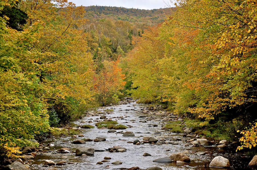 Looking upstream at the South Aspy River from the South Ridge Road