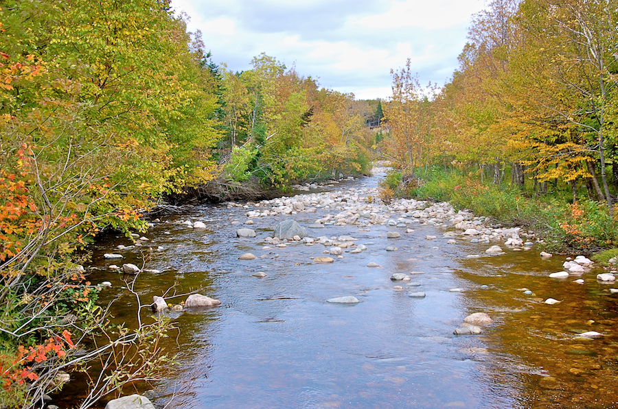 Looking downstream at the South Aspy River from the South Ridge Road