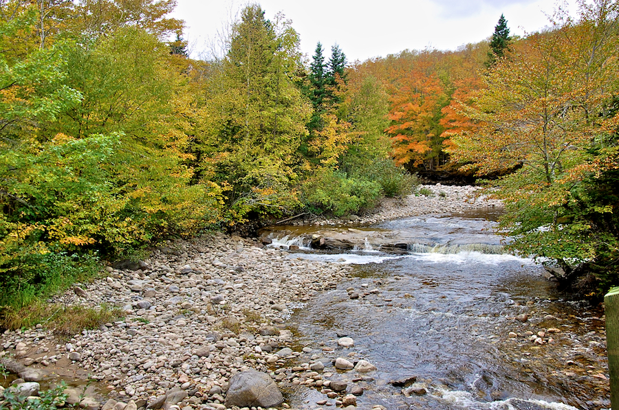 Small Waterfall on the Middle Aspy River from the South Ridge Road