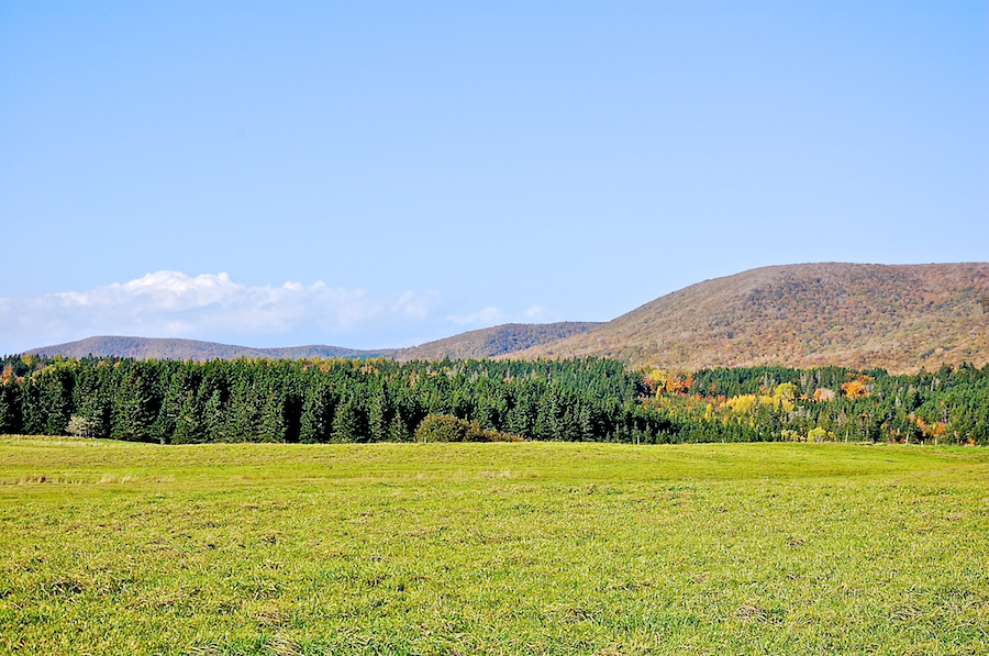 Cape Mabou Highlands from the Smithville Road