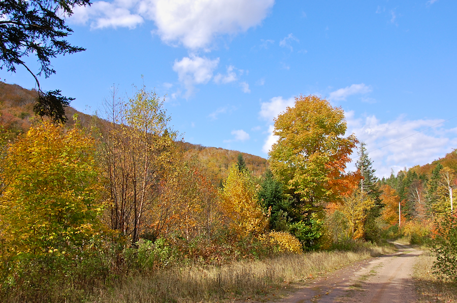 Fall Panorama along the Rosedale Road