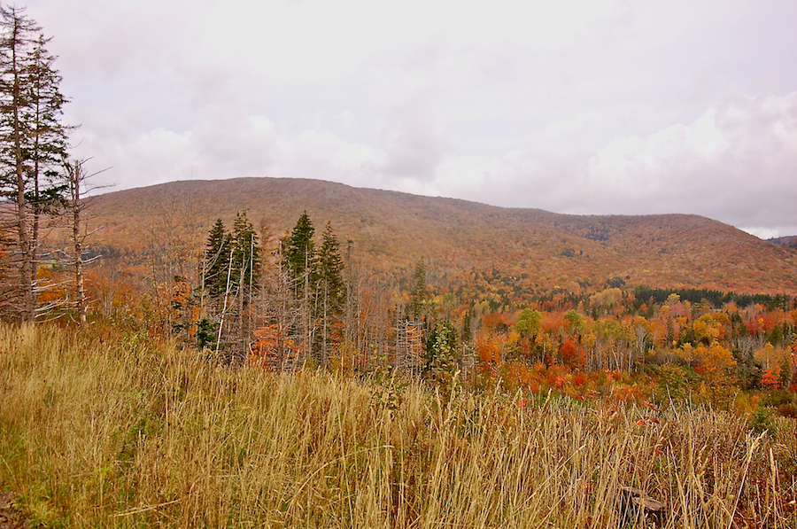 Cape Mabou Highlands from the Northeast Mabou Road