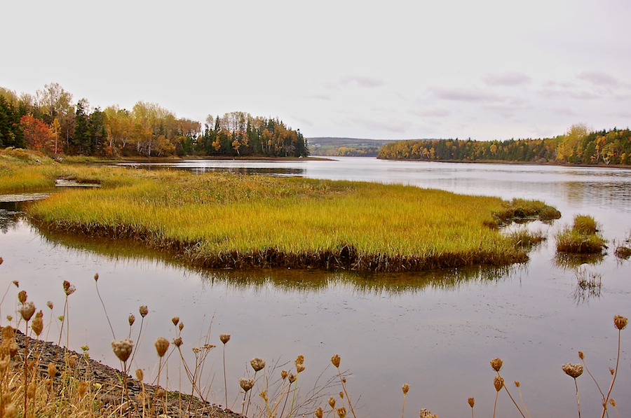 Northeast Mabou Cove from the Mabou Harbour Road