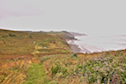Colindale Shore from the Western Coastal Trail