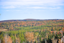 Looking Northeast from the Glencoe Road