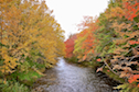 Looking upstream at the Indian River from Reservation Road