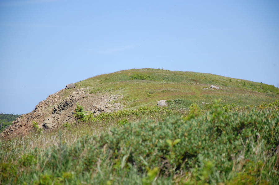 The summit of Meat Cove Mountain from the col