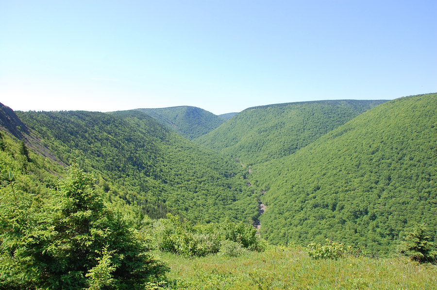 Meat Cove Brook Valley from the col