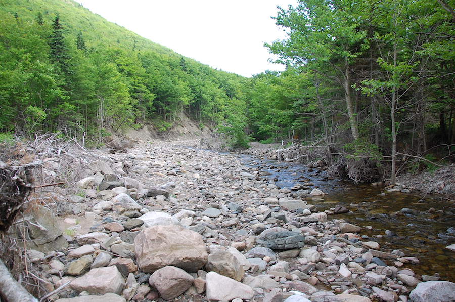 Meat Cove Brook