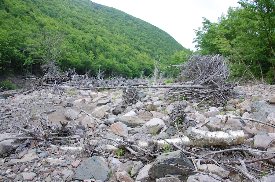 Meat Cove Brook