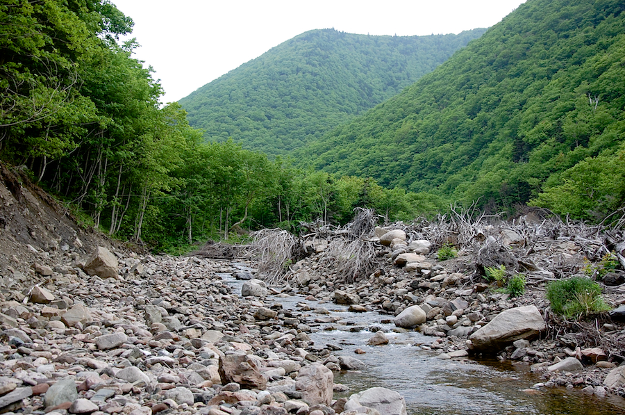 Meat Cove Brook