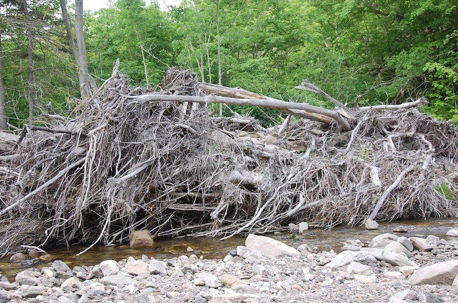 Natural dam