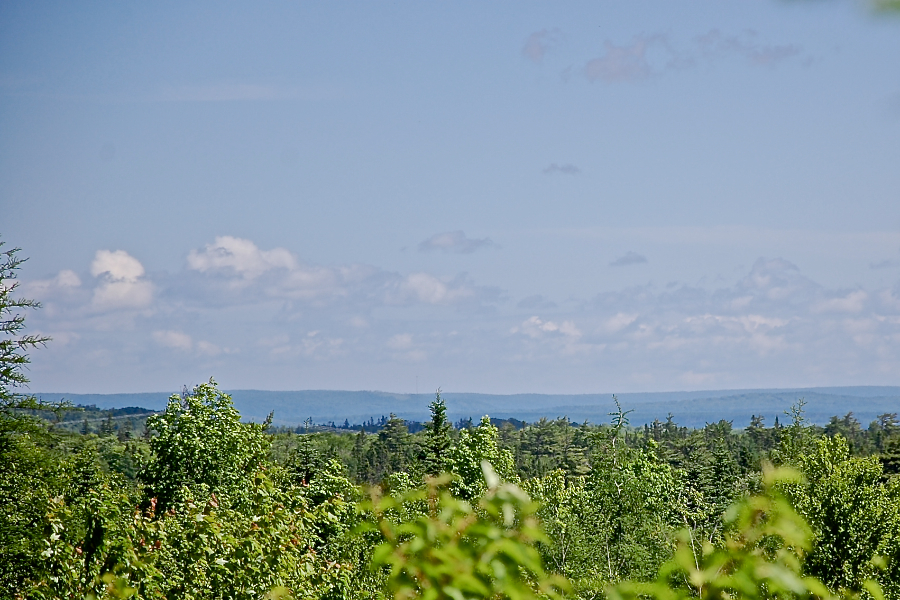 The Interior Plateau west of Lexington