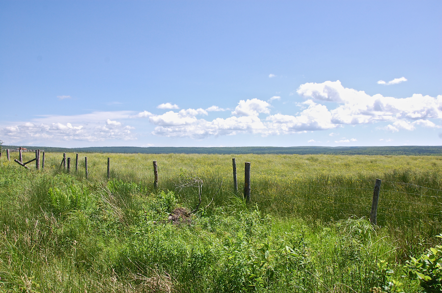 View to the east from Maple Brook Road