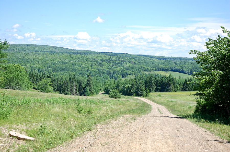 Maple Brook Road as it descends towards Maple Brook