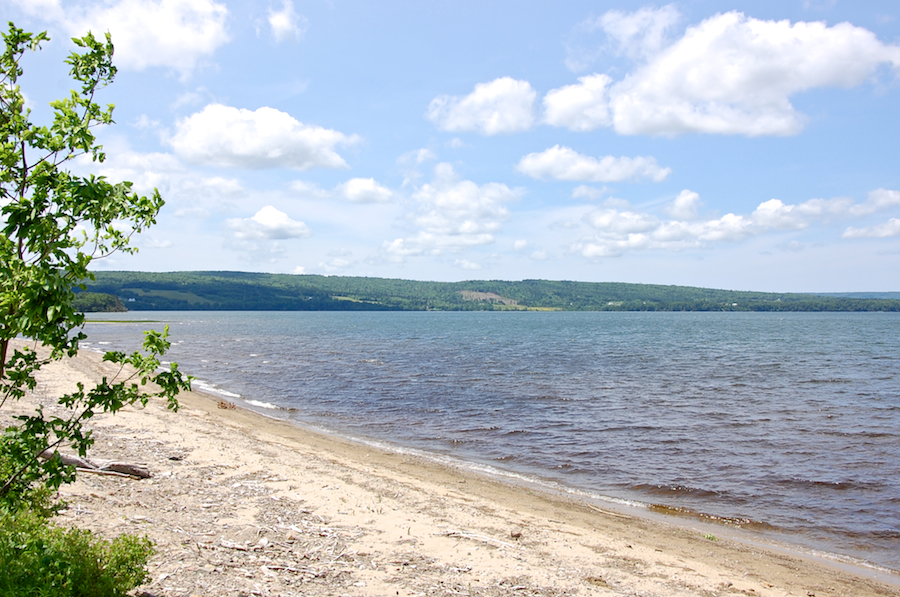 Lake Ainslie shore to the southwest at Trout Brook