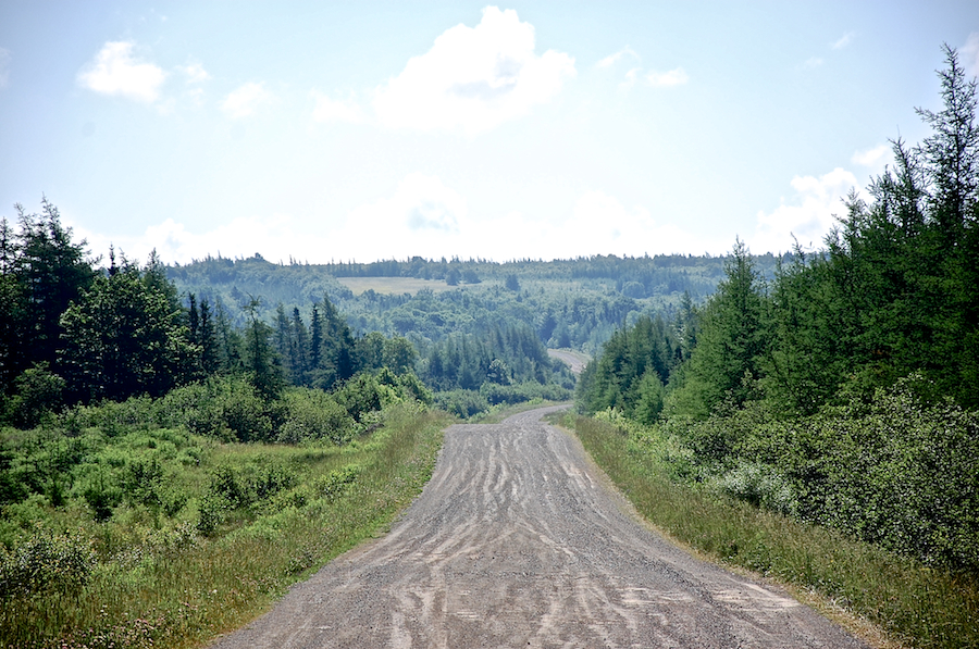 The Alpine Ridge Road crossing the hills of Southwest Mabou
