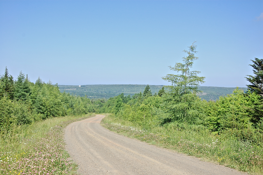Rocky Ridge from the Alpine Ridge Road
