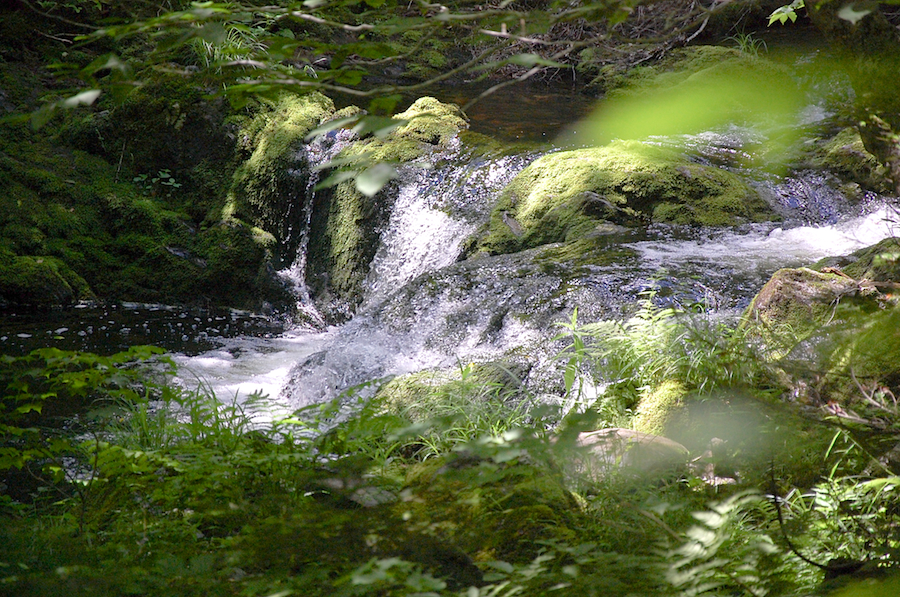 MacPhersons Brook