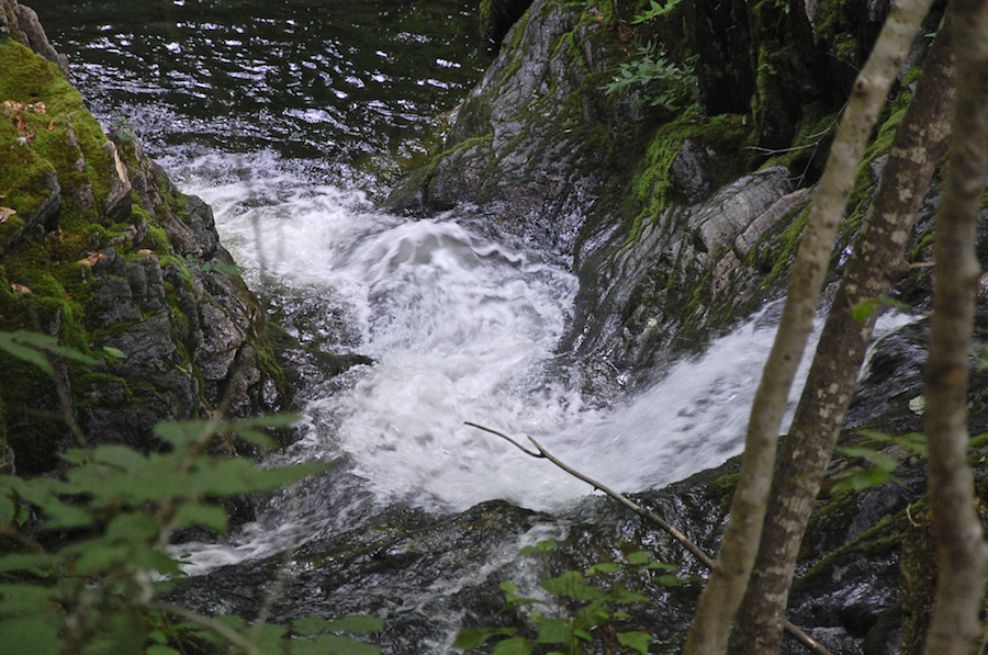 MacPhersons Brook