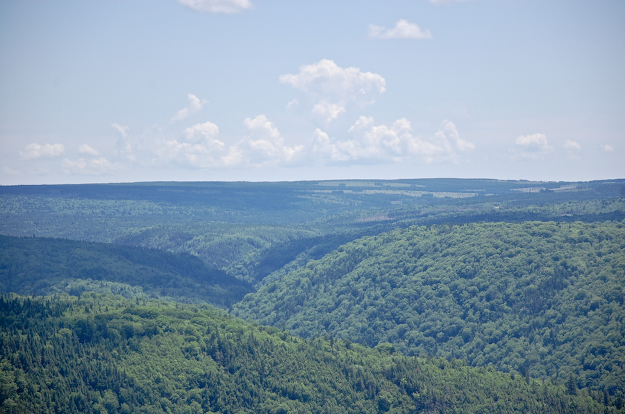 A closer view of the First Fork Brook Valley