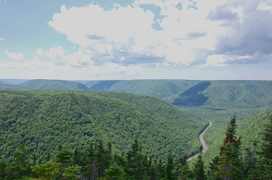 The view from further west along the cliffs