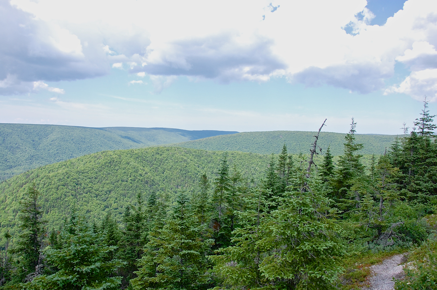 Looking northeast along the Aspy Fault