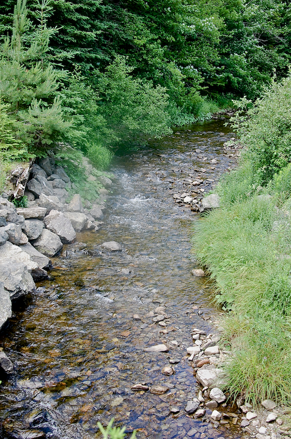 Cove Brook