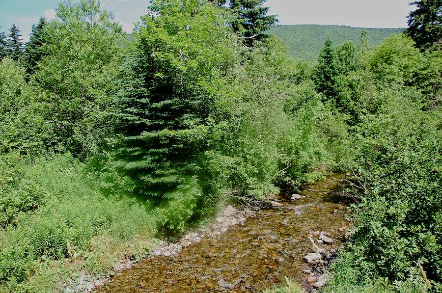 Cove Brook