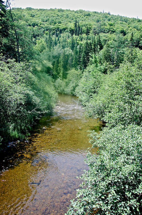 The Indian River