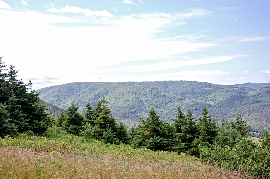 Cape Mabou Highlands east of the Beinn Alasdair Bhain Look-Off