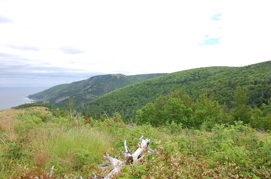 View descending the relocated Beinn Alasdair Bhain (Fair Alistair’s Mountain) Trail