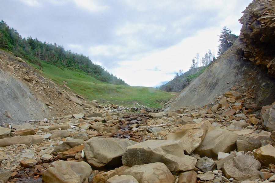 Looking up MacKinnons Brook from its mouth