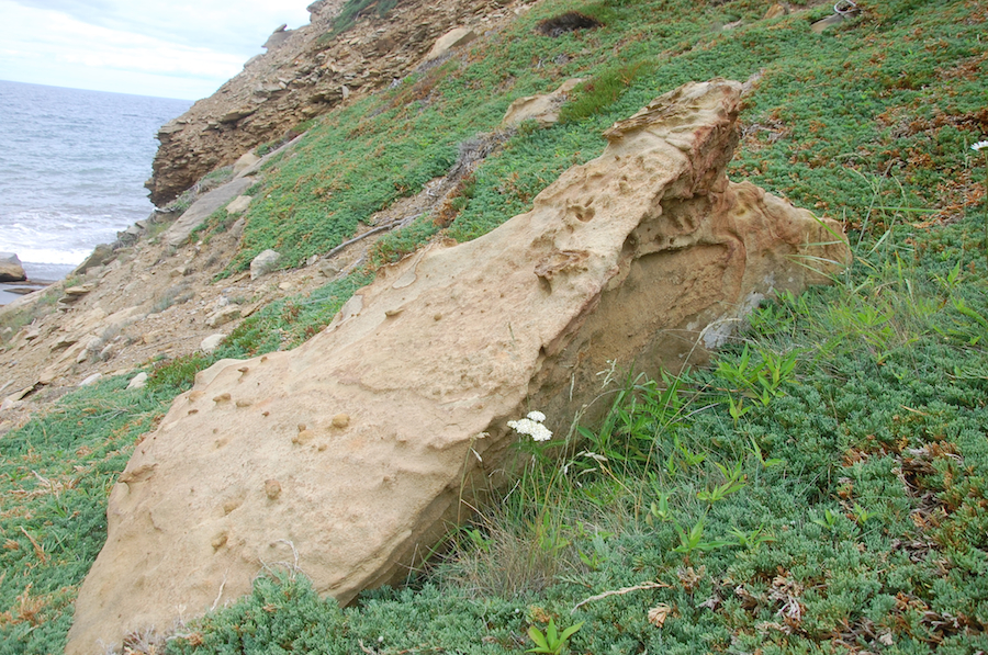 Interesting rock