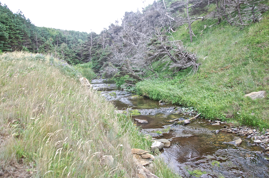 MacKinnons Brook