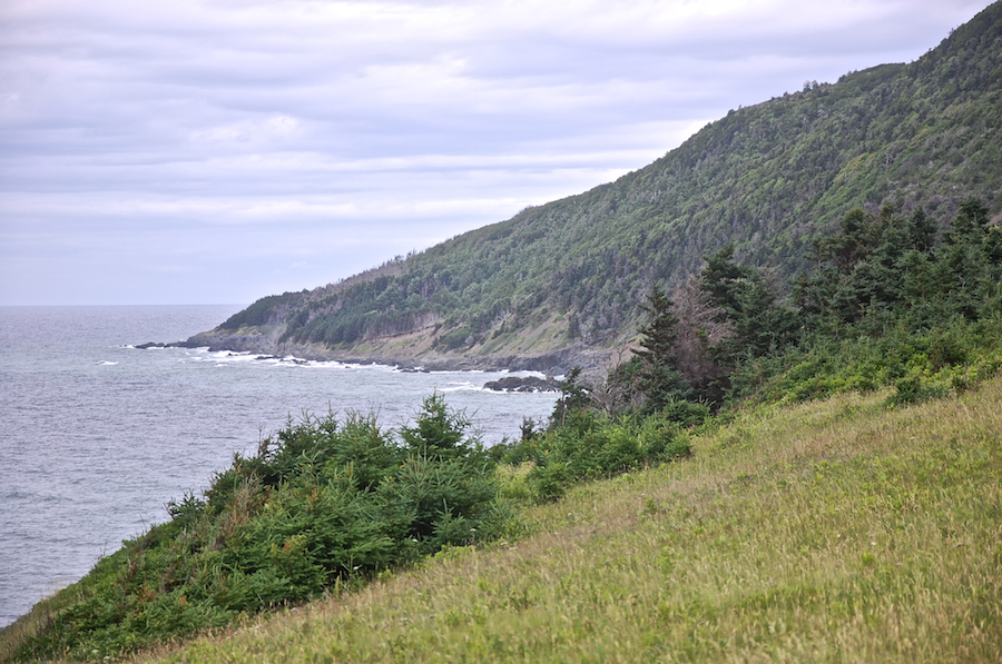 Coastal view from the Meadows
