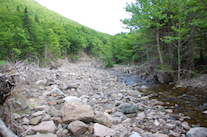 Meat Cove Brook