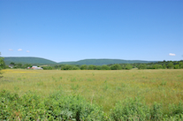 Looking northwest from Fielding Road