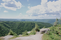 The initial view