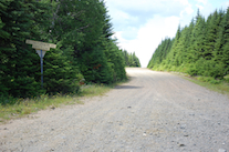 The Second Forks Brook Road