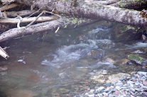 Kewstoke Brook