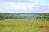 Fields on Whycocomagh Mountain