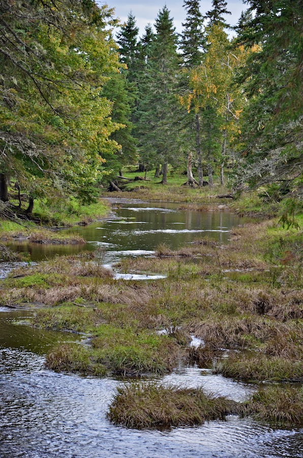 Looking upstream at the bridge over Maple Brook